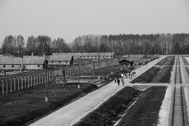 Black white people walking path free wallpaper for desktop - medium preview image