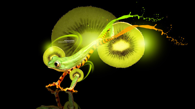 Green lizard branch kiwi mouth free wallpaper for desktop - medium preview image