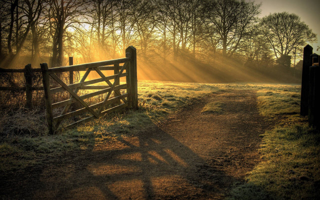 Sunset path gate field trees free wallpaper for desktop - medium preview image