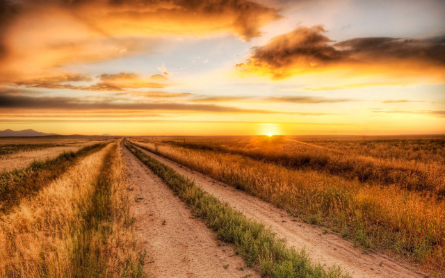 Dirt road sunset grass field #2 free wallpaper for desktop - medium preview image