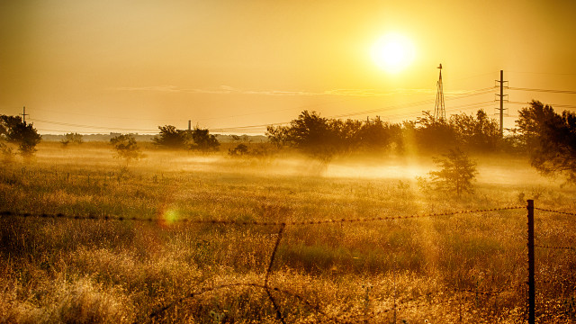Field fence trees background sun free wallpaper for desktop - medium preview image