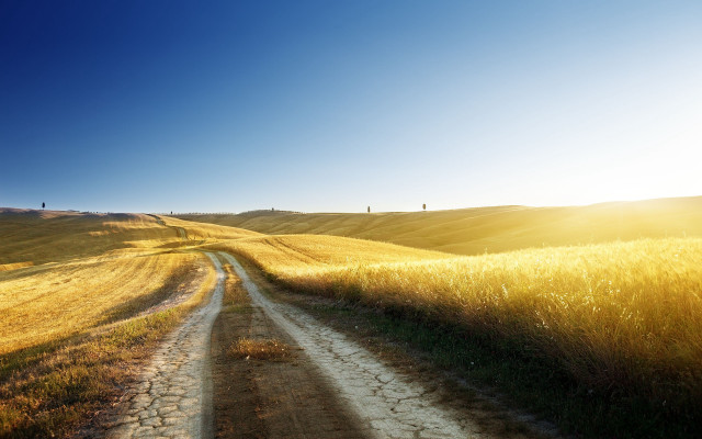 Dirt road field sun horizon free wallpaper for desktop - medium preview image