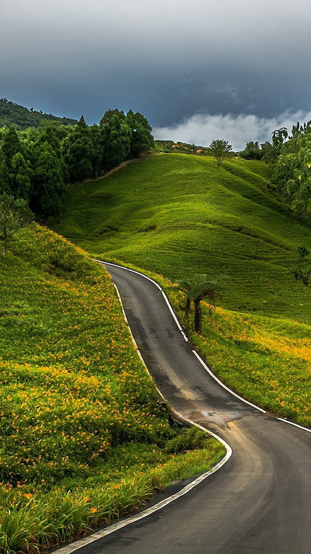 Winding road green hillside cloudy free wallpaper for mobile - medium preview image