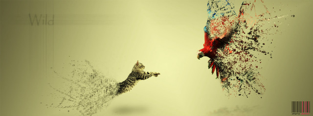 Cat chasing bird surreal digital free wallpaper for desktop - medium preview image