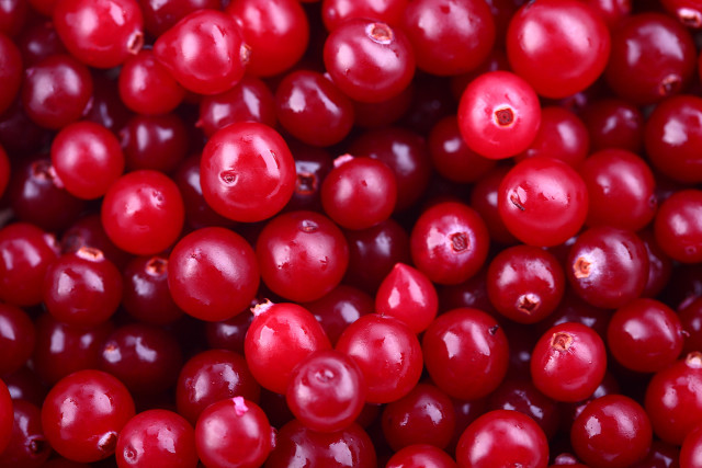 Cranberries water droplets red background free wallpaper for desktop - medium preview image