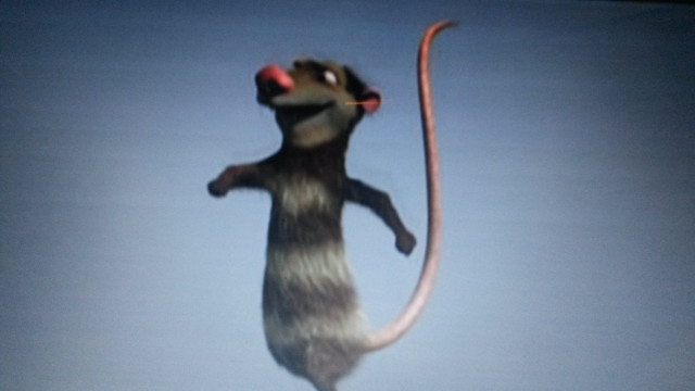 Rat jumping air long tail free wallpaper for desktop - medium preview image