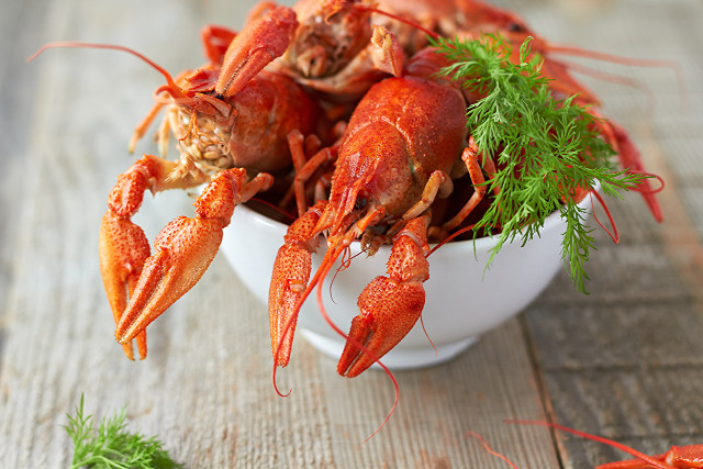 Cooked lobsters parsley bowl side free wallpaper for desktop - medium preview image