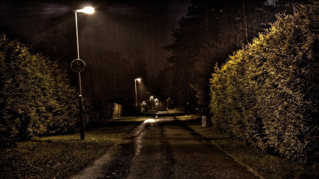 Dark street streetlight night trees free wallpaper for desktop - medium preview image