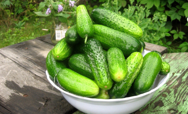 Bowl cucumbers wooden table outdoors free wallpaper for desktop - medium preview image