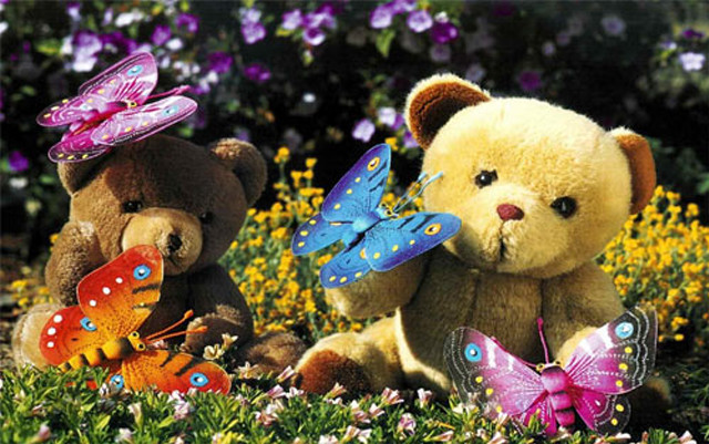 Teddy bears field flowers butterflies free wallpaper for desktop - medium preview image