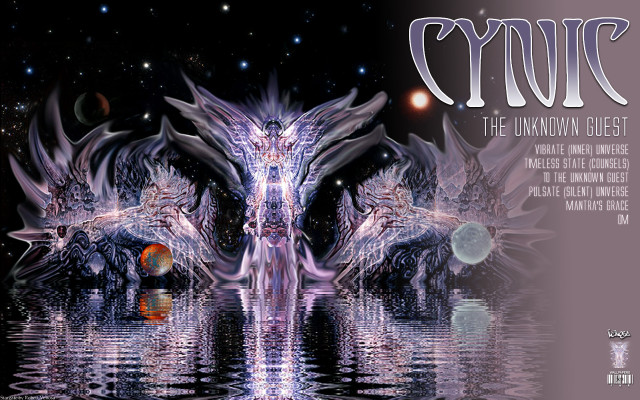 Birds water sky stars digital free wallpaper for desktop - medium preview image