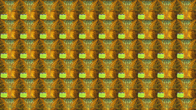 Colorful pattern green yellow squares free wallpaper for desktop - medium preview image