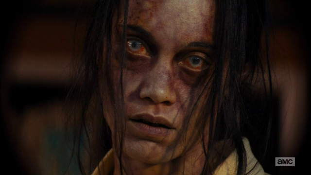 Woman hair makeup face eyes free wallpaper for desktop - medium preview image