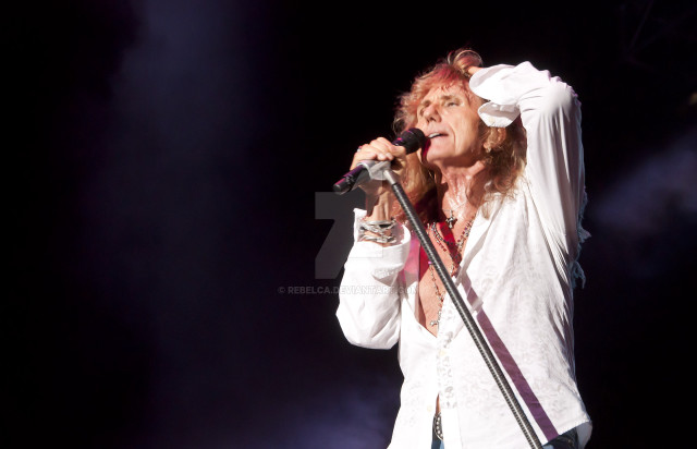 Man microphone stage hands up free wallpaper for desktop - medium preview image