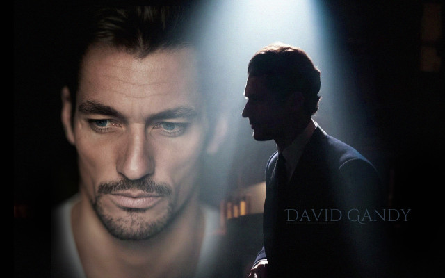 Bearded man light camera face free wallpaper for desktop - medium preview image