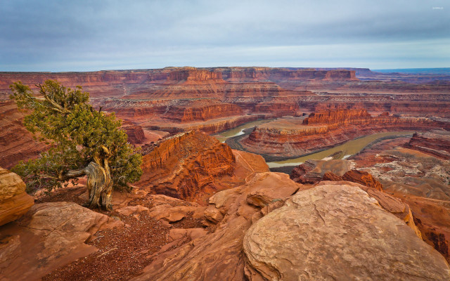 Tree rock canyon river cloudy free wallpaper for desktop - medium preview image