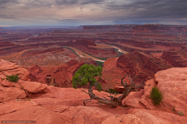 Lone tree canyon landscape river free wallpaper for desktop - medium preview image