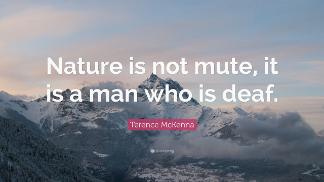 Mountain quote nature not mute free wallpaper for desktop - medium preview image