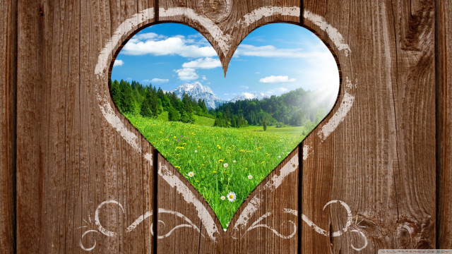 Heart shaped window grass trees free wallpaper for desktop - medium preview image