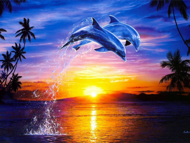Dolphins jumping sunset palm trees free wallpaper for desktop - medium preview image