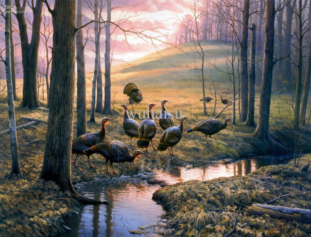 Man geese forest stream ducks free wallpaper for desktop - medium preview image