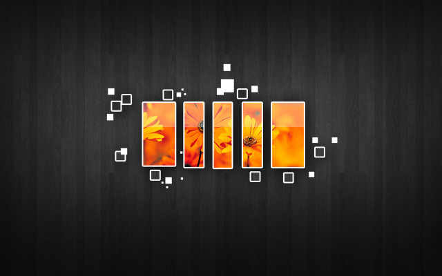 Black wall squares flowers background free wallpaper for desktop - medium preview image