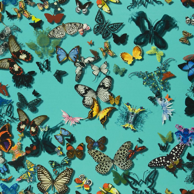Butterflies blue background white border free wallpaper for tablet - medium preview image