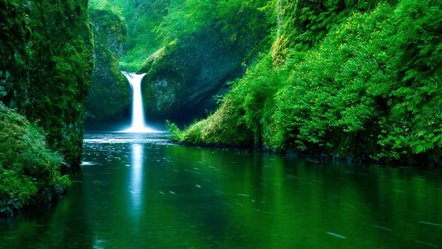 River waterfall forest trees green free wallpaper for desktop - medium preview image