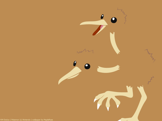 Bird two eyes long beak free wallpaper for desktop - medium preview image