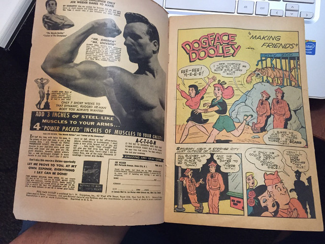 Comic book bodybuilding muscles page free wallpaper for desktop - medium preview image