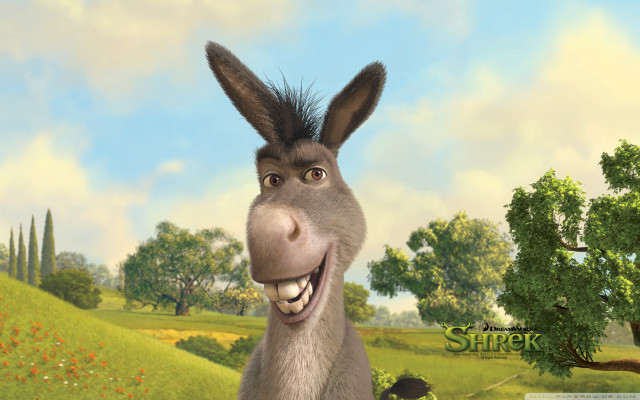Donkey funny look tree sky free wallpaper for desktop - medium preview image