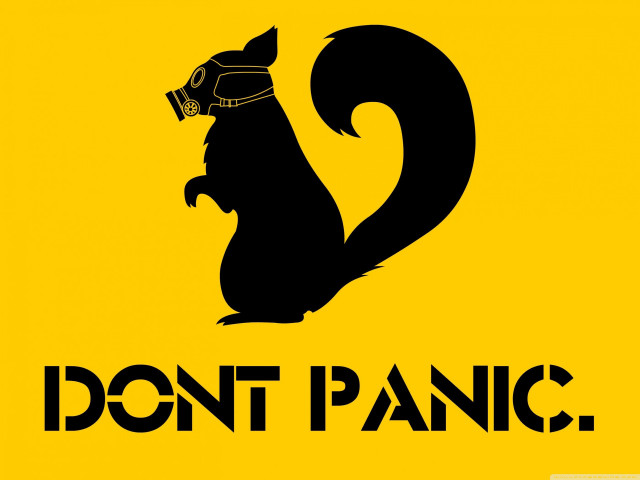Black squirrel helmet dont panic free wallpaper for desktop - medium preview image