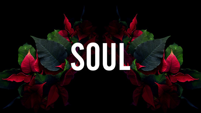 Black background red flower soul free wallpaper for desktop - medium preview image