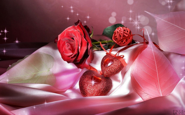Roses pink cloth table hearts #2 free wallpaper for desktop - medium preview image