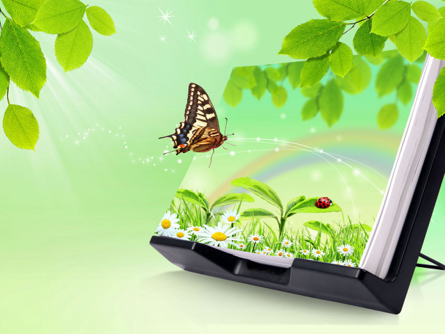 Butterfly flying green field flowers free wallpaper for desktop - medium preview image