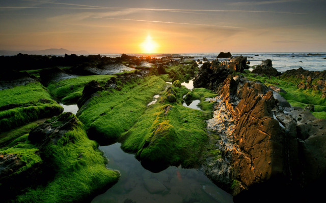 Sunset rocky beach green algae #5 free wallpaper for desktop - medium preview image