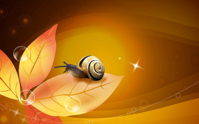 Snail leaf star swirly background free wallpaper for desktop - medium preview image