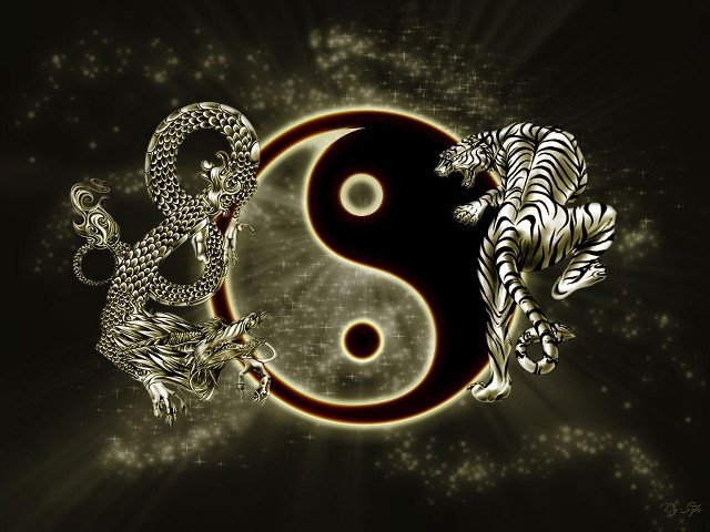 Tiger white tiger yin yang free wallpaper for desktop - medium preview image