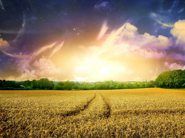Wheat field cloudy sky trail free wallpaper for desktop - medium preview image