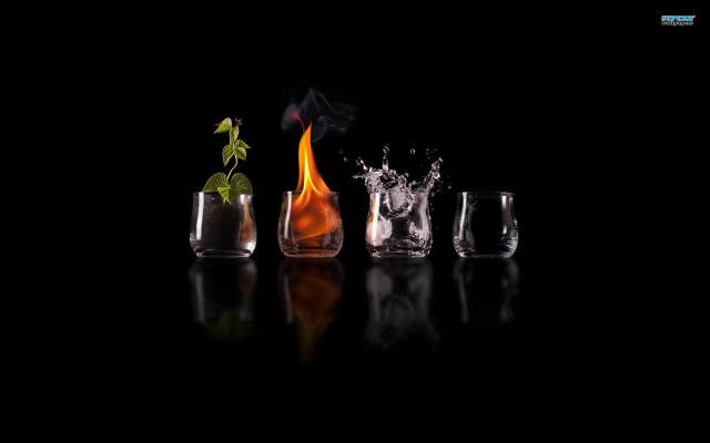 Glasses plant table black background #2 free wallpaper for desktop - medium preview image
