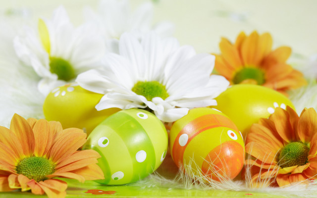 Eggs flowers tabletop feathers decoration free wallpaper for desktop - medium preview image