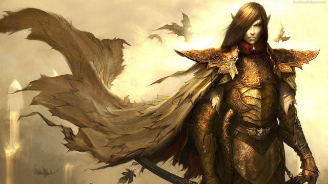 Woman armor sword bats flying free wallpaper for desktop - medium preview image