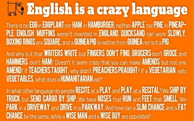 English crazy language orange background free wallpaper for desktop - medium preview image