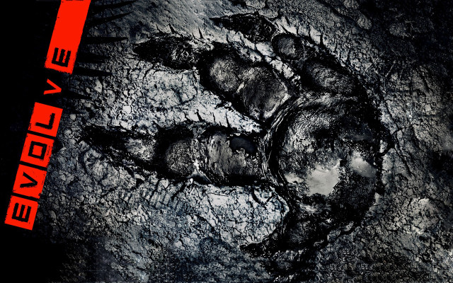 Bear paw print matte forest free wallpaper for desktop - medium preview image