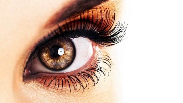Woman eye long lashes brown #2 free wallpaper for desktop - medium preview image