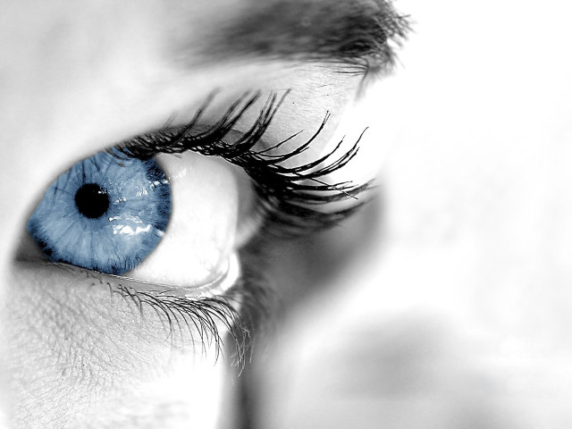 Blue eye long lashes black #4 free wallpaper for desktop - medium preview image