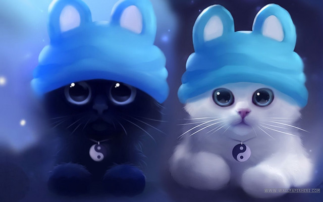Cats hats sitting dark background free wallpaper for desktop - medium preview image