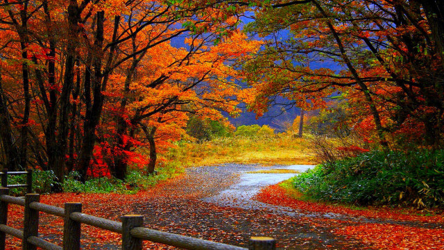 Road fall foliage fence impressionist free wallpaper for desktop - medium preview image