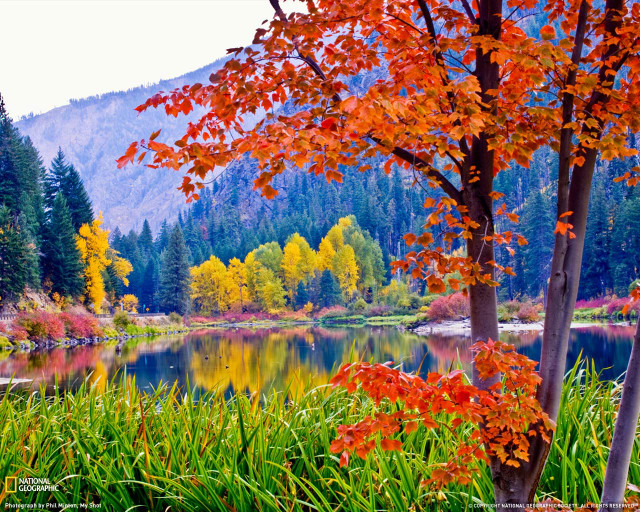 Lake fall colors mountain forest free wallpaper for desktop - medium preview image