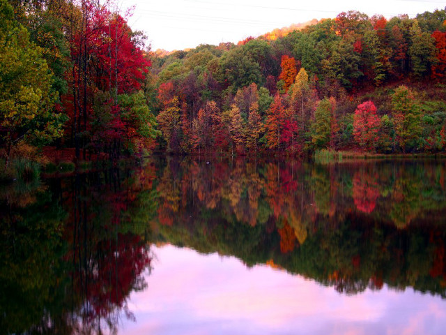 Lake trees fall colors hill free wallpaper for desktop - medium preview image